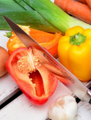 Manipulador de alimentos