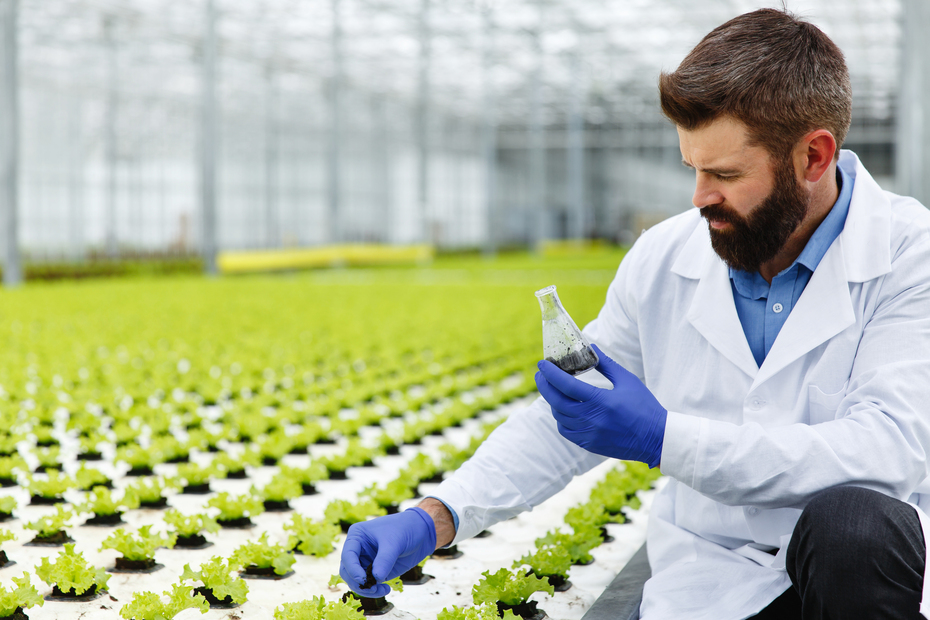 Persona masculina realizando un control de seguridad alimentaria ¿como manejar una crisis alimentaria?