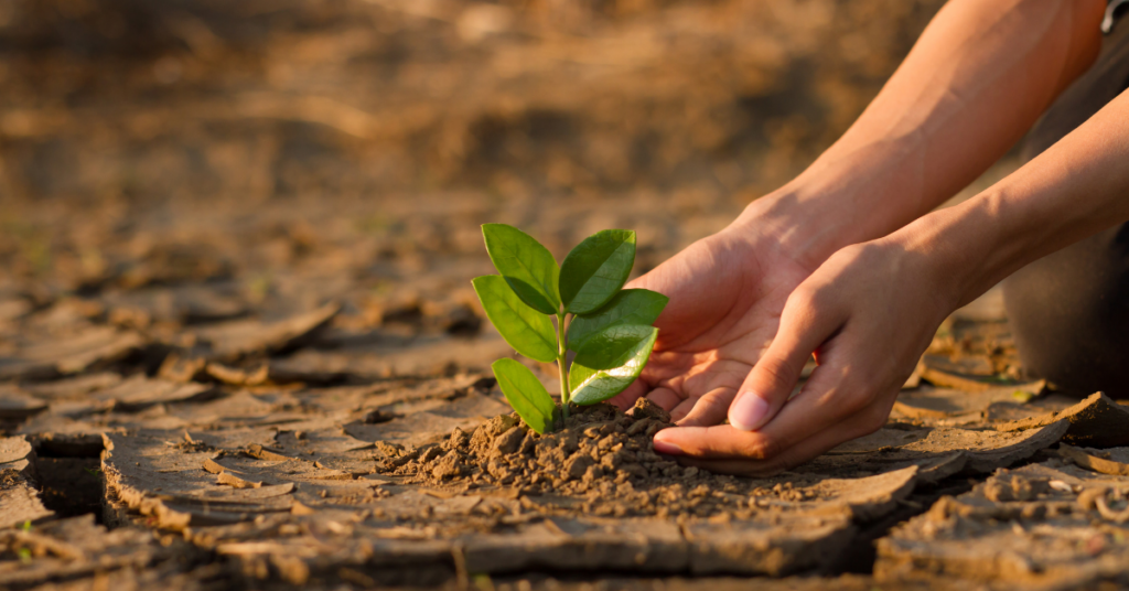 Frena el cambio climático