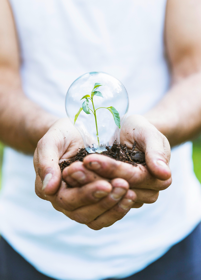 Ahorro energético y sostenibilidad en procesos de producción