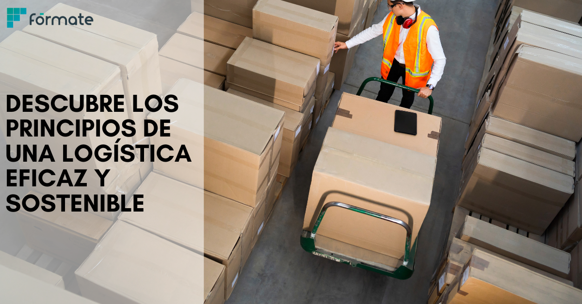 Optimiza tu logística: menos costes, más sostenibilidad